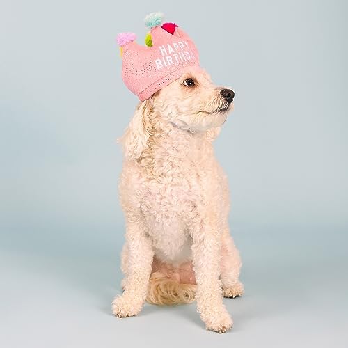 Fringe Studio Plush Dog Toy, If The Crown Fits, Pet Shop Collection (314209) - Image 5