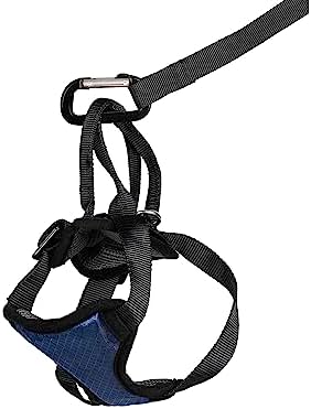 PetSafe Happy Ride Dog Safety Harness for Cars - Dog Car Harness Includes Seat Belt Tether - Keeps Pets Restrained - Breathable Mesh, Adjustable Straps - Dog Travel Accessories for Car - Small by PetSafe