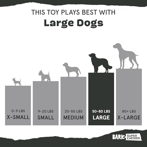 BarkBox Super Chewer Tough Dog Chew Toys - Large - Image 6