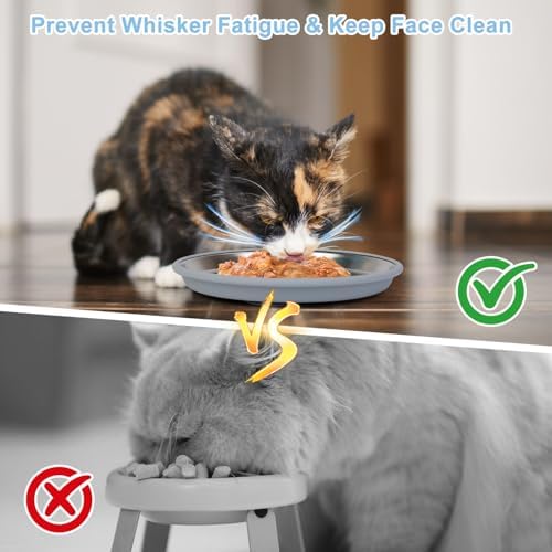 Cat Food Bowls 2 Pack, Wide and Shallow Stainless Steel Cat Bowls with Non-Slip Bottom, Metal Whisker Friendly Pet Dishes for Dry, Wet and Can Food - Image 3