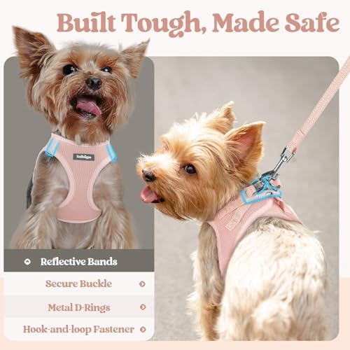 rabbitgoo Dog Harness Small Sized and Leash Set, Step-in Puppy Pet Vest - Image 5