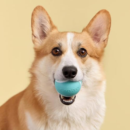 Playology Squeaky Chew Ball Dog Toy - Medium, Peanut Butter Scent - Image 3