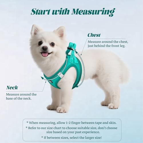 No Pull Dog Puppy Harness and Leash Set Reflective Mesh Vest Small - Image 2
