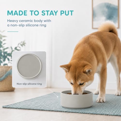 Havniva Ceramic Dog Bowls, 7.3” Dog Food and Water Bowl, Pet Feeding Bowl - Image 4