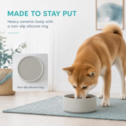 Havniva Ceramic Dog Bowls, 7.3” Dog Food and Water Bowl, Pet Feeding Bowl - Image 4