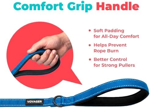 Best Pet Supplies Voyager Nylon Dog Leash - Royal Blue, Large - Image 6
