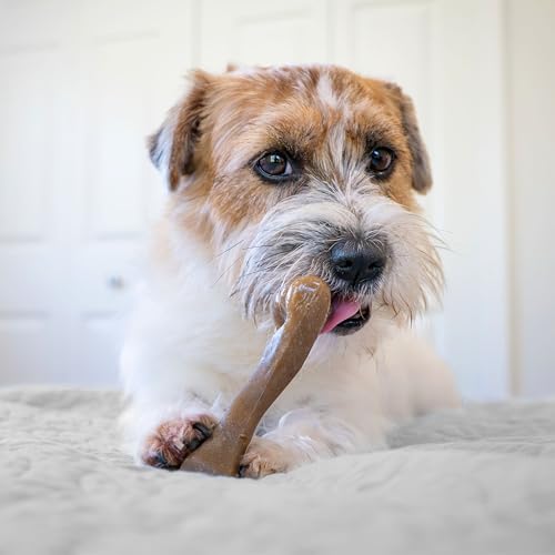 Nylabone Strong Chew Femur Bone Dog Toy, Dog Bone for Aggressive Chewers - Image 5