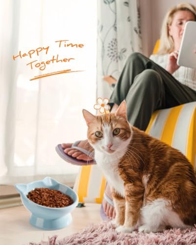 Raised Cat Food Bowl Ceramic 15° Tilted Cat Food Bowls Protect Cat's Spine Anti Vomiting Backflow Prevention Bowls for Adult Kitty, Kitten, and Small Dogs, Blue - Image 6
