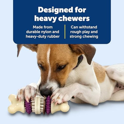 PetSafe Busy Buddy Bristle Bone Dog Treat Holding Chew Toy, Medium - Image 4