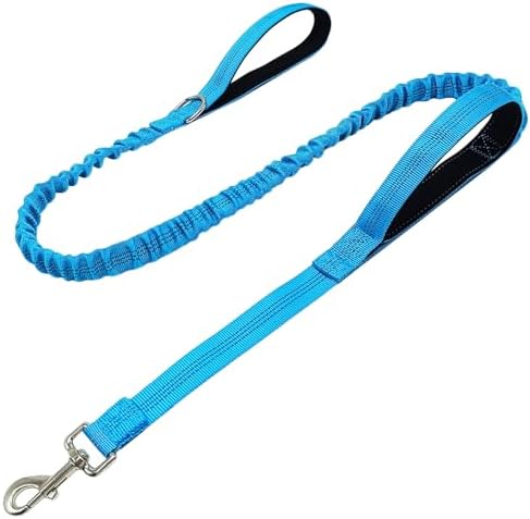 5FT Bungee Dog Leash with 2 Handles, Reflective Nylon Traffic Leash by boswany