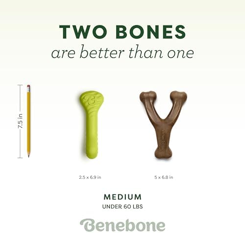 Benebone Bacon Wishbone/Rubber Bone Medium, 2-Pack - Image 4