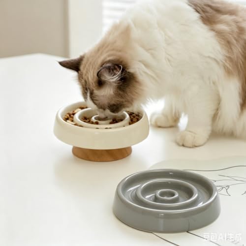 Elevated Cat Bowls Ceramic Slow Feeder with Stand for Cats - Image 3