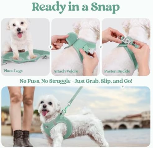 rabbitgoo Dog Harness Small Sized and Leash Set, Step-in Puppy Pet Vest - Image 5