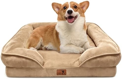Spotted Play Orthopedic Dog Bed with Sides - Sofa Beds for Medium Dogs, Supportive Foam Pet Couch Bed with Washable Removable Cover, Waterproof Lining and Non-Slip Bottom, Brown - M by Spotted+Play