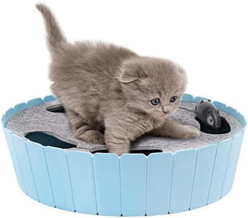 Pawaboo Interactive Cat Toy with Running Mouse, Automatic Track Kitten Toy by Pawaboo