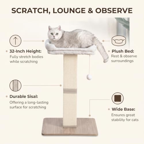 32 Inches Cat Scratching Post with Perch for Indoor Cats Adults - Image 2