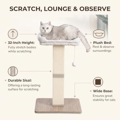 32 Inches Cat Scratching Post with Perch for Indoor Cats Adults - Image 2