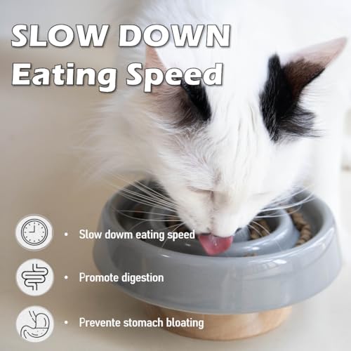 Ceramic Cat Slow Feeder, Raised Slow Feeder Cat Bowl, Anti Vomiting and Whisker Friendly Kitty Dish, Elevated Puppy Kitten Bowl for Dry and Wet Food (Gray) - Image 3