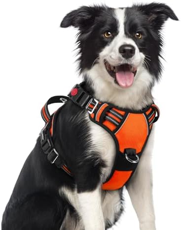 rabbitgoo Dog Harness Medium Sized, No Pull 3 Buckles Easy On & Off by rabbitgoo