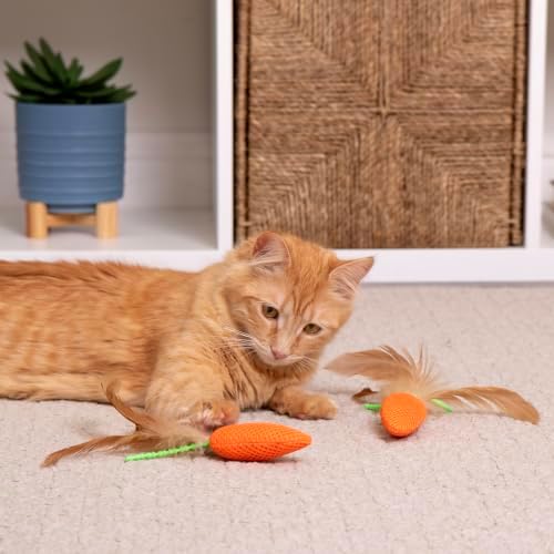 SmartyKat Crazy Carrots Durable Plush Catnip Cat Toys, Set of 2 - Image 5