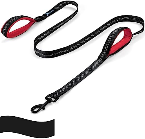 Dog Leash for Large Medium Dogs - 6 ft Reflective Stitching Pet Leash with 2 Traffic Padded Handles - Black 1 Pack by PuppyDoggy