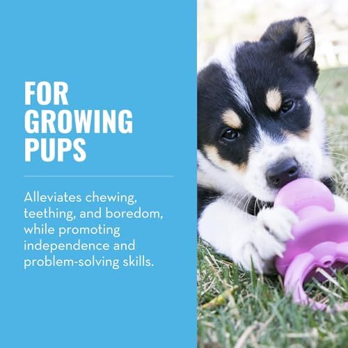 KONG Puppy Binkie - Pacifier Dog Toy for Puppies - Stuffable Treat Chew Toy for Treats - Durable Natural Rubber for Teething Puppy - for Small Puppies - Pink (Pack of 3) - Image 2