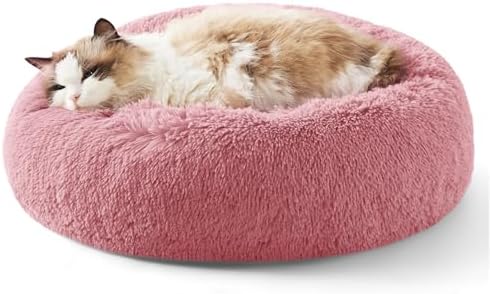 Bedsure Calming Cat Beds Donut Round Washable Kitten Bed,20 inches by BEDSURE