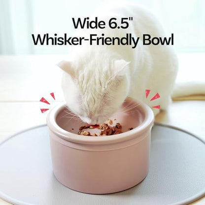 Hello Bowl Elevated Ceramic Cat Bowl with Stand, Raised Whisker-Friendly Feeding Bowl for Cats & Small Dogs, Patented Design, Made in Korea (3.9" H - White, Square/Dry) - Image 3