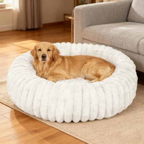 Washable Extra Large Dog Bed,Puppy Kitten Beds for Small Dogs(White,XXL) by Unknown