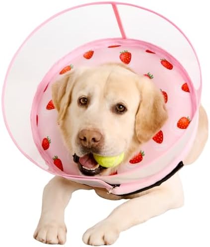 Inflatable Dog Cone Collar for Large Medium Small Dogs, Soft Dog Donut Collar Adjustable Recovery Cone for Pets After Surgery, Extra Enhanced Anti-Licking Guard Shield (Strawberry Print, Medium) by Mariyago