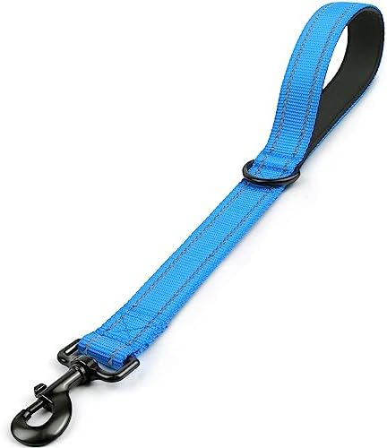 Joytale Short Dog Leash for Close Control & Training, 18", Aqua Blue by Joytale