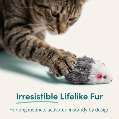 Smokey's Stash Gray and White Faux Fur Cat Mice Toy 12 Per Pack Multi Color Realistic Interactive Small Mouse with Rattle and Catnip Safe for Adult Cats and Kittens - Image 7