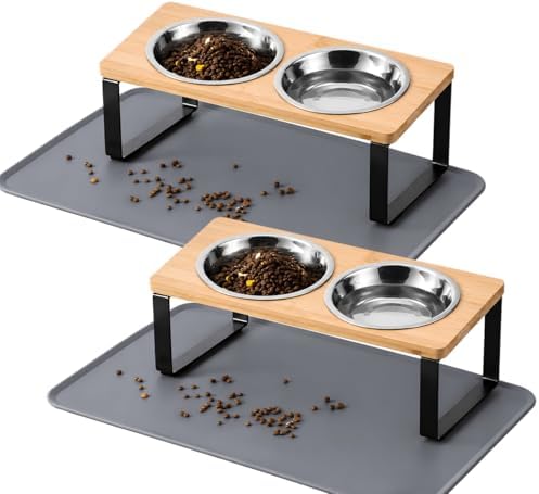 Summark 2 Pack Elevated Cat Bowls with Food Mat,15°Tilted Stand Anti Vomiting Raised Cat Dishes for Food and Water,2 Stainless Steel Bowls for Cats and Puppy by Summark