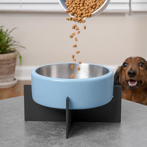 DBL3000F Intersecta Small/Medium Concrete and Stainless Steel Bowl 16oz (2 Cups) with Metal Stand Pet Feeder, Blue/Black - Image 2