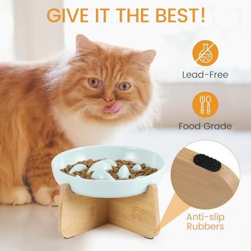 PETTOM Slow Feeder Cat Bowl with Stand, Ceramic Slow Eating Cat Bowl with Higher Edges Fish Pool Design Elevated Food Bowls for Dry and Wet Food Anti-Vomiting Puzzle Feeder for Healthy Eating Diet - Image 6
