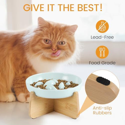 PETTOM Slow Feeder Cat Bowl with Stand, Ceramic Slow Eating Cat Bowl with Higher Edges Fish Pool Design Elevated Food Bowls for Dry and Wet Food Anti-Vomiting Puzzle Feeder for Healthy Eating Diet - Image 6