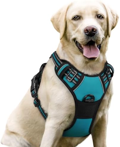 rabbitgoo Dog Harness No Pull with 2 Leash Clips, Adjustable Soft Padded, Reflective Oxford No Choke Pet Vest with Easy Control Handle for Large Dogs, Teal, L by rabbitgoo
