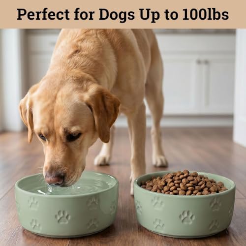 Ceramic Dog Bowl Set of 2 with Anti-Skid Base 7.5" W x 3" H, 6 Cup Capacity - Image 3