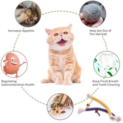 Kyouki Cat Toys Cat Chew Toys, Silvervine Sticks Catnip Rope Toys for Cats Teeth Cleaning, Kitten Dental Care, Kitty for Indoor Cats Increase Appetite,Enhances Oral & Dental Health (20 Pack) - Image 5