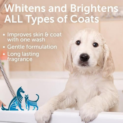 Nootie - Pet Shampoo for Sensitive Skin - Revitalizes Dry Skin & Coat - Natural Ingredients - Gentle Dog Shampoo - Cleans & Conditions - Image 2