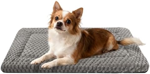 Dog Bed Crate Mat, Soft Durable Washable Anti-Slip Kennel Pad for Dogs & Cats, Reversible (Light Gray, M(30"*20"*1.5")) by %E7%AB%8B%E5%8D%B3%E8%B4%AD%E4%B9%B0