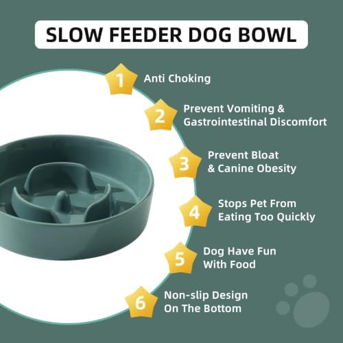 Havniva Ceramic Slow Feeder Dog Bowls, 6.1 in Slow Feeder for Small Breed - Image 6