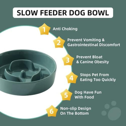Havniva Ceramic Slow Feeder Dog Bowls, 6.1 in Slow Feeder for Small Breed - Image 6