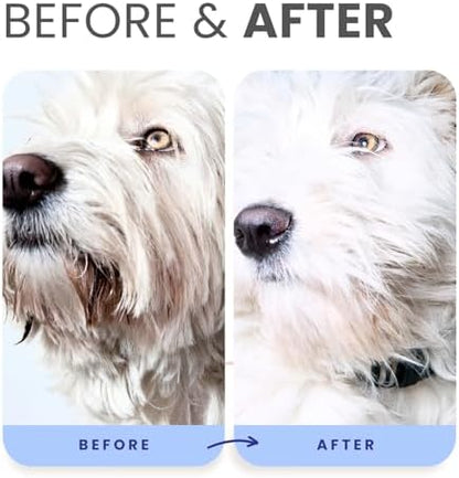Lillian Ruff PRO Formula Berry Blue Brightening Dog Conditioner - Professional Whitening Conditioner Hydrate Dry Skin, Soften, Detangle, Restore Shine - Provitamin B5, USA Made 16oz - Image 5