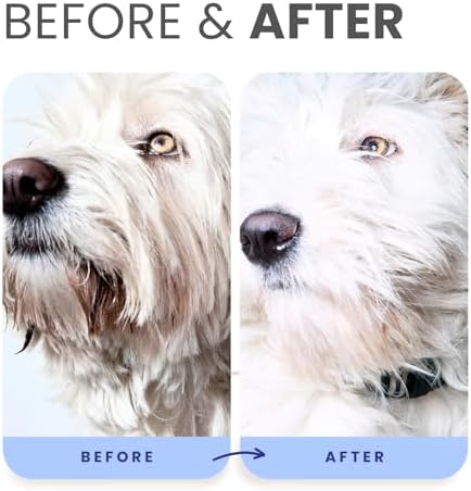 Lillian Ruff PRO Formula Berry Blue Brightening Dog Shampoo + Blueberry Waterless Dog Shampoo - Professional Whitening, Tear Stain Remover & No-Rinse Hydrating Odor Control, Aloe+Coconut Oil, USA Made - Image 6
