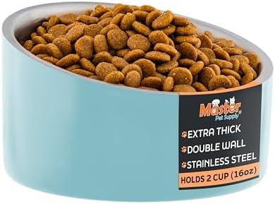 Master Pet Supply Stainless Steel Slanted Dog Cat Food Bowl 16 oz Aqua Sky by MasterPetSupply