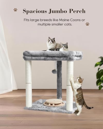 Small Cat Tree with Large Top Perch & Cat Ball Track Toy, Indoor Cat Tower - Image 4