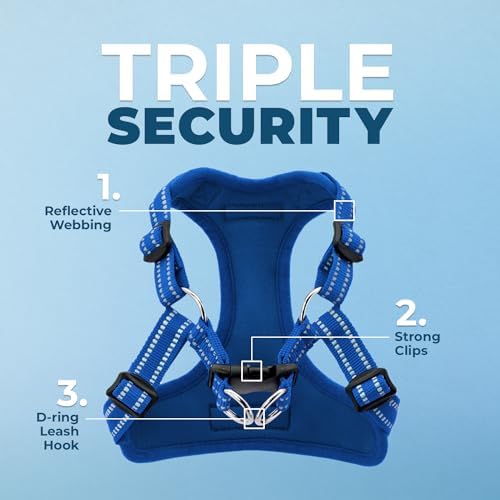 Voyager Step-in Flex Adjustable Dog Harness - Royal Blue, Medium - Image 2