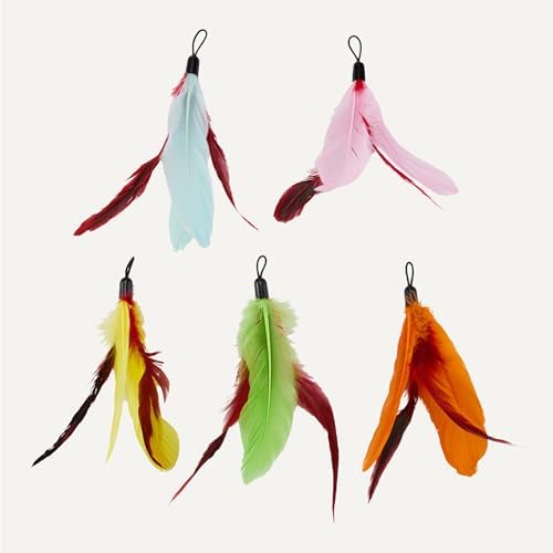 Amazon Basics Cat Feather Toy Kit with 2 Telescoping Wands and 10 Feather Attachments, Natural Feathers, for Adult Cats and Kittens - Image 4
