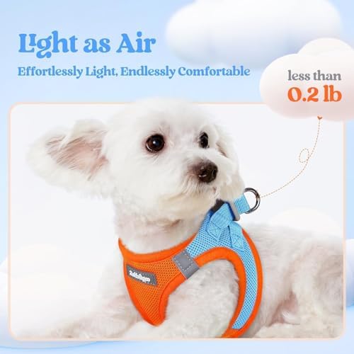 rabbitgoo Dog Harness Small Sized and Leash Set, Step-in Puppy Pet Vest - Image 3